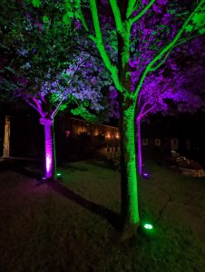 PXL_20220722_235737017