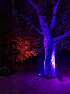 Außenbeleuchtung (3)