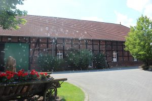 Seifenblasen_Beckertainment (5)